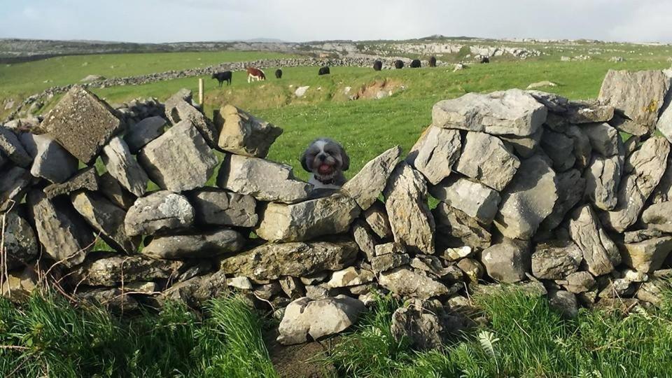 Lanelodge Doolin Exterior photo