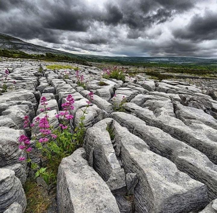 Lanelodge Doolin Exterior photo