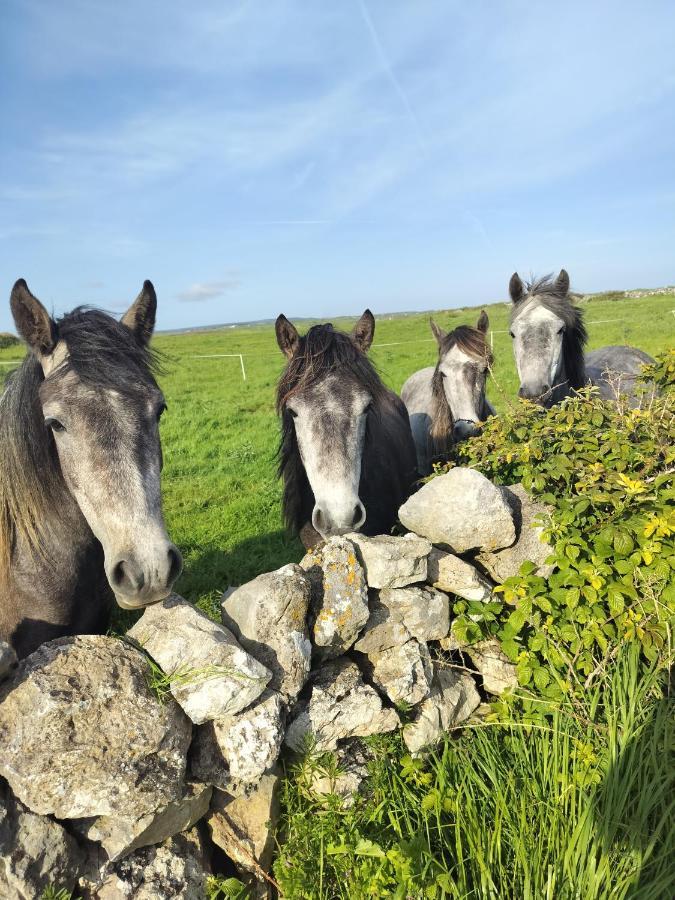 Lanelodge Doolin Exterior photo